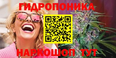 сатива Нальчик
