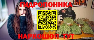 сатива Нальчик