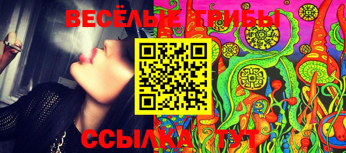 Галлюциногенные грибы GOLDEN TEACHER Шарыпово