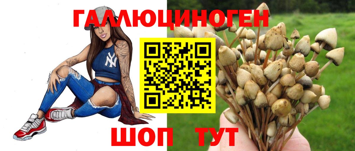 Шарыпово  купить наркотики цена  Вход с VPN  Псилоцибиновые грибы Psilocybine cubensis 